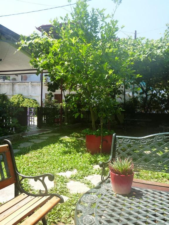 Helena Apartments Paralia Pantaleimonos Ngoại thất bức ảnh